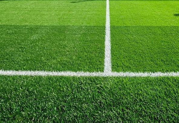 Работа в футбольных полях — секреты ухода за газоном от главного агронома «Газпром Арены» - изображение