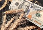 Цена на зерно от Продкорпорации будет на уровне мировых рыночных - МСХ - превью