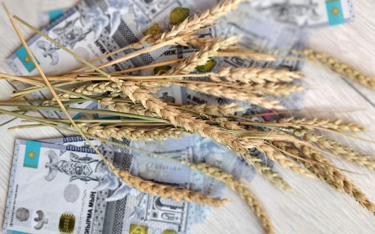 Мировые и российские цены на зерно были учтены при формировании закупочных цен Продкорпорации - изображение