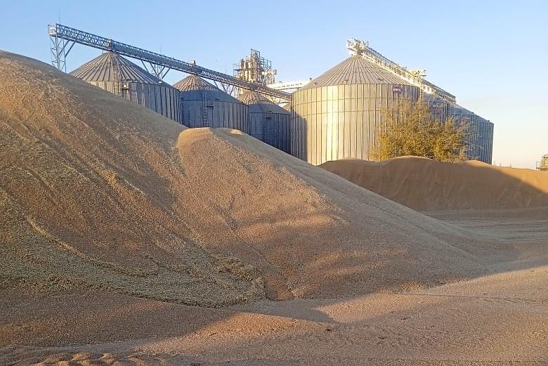 1,7 млн тонн казахстанского зерна экспортировано в Россию в 2025г - изображение