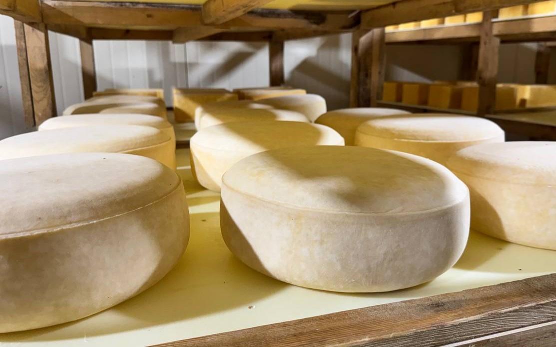 Крупнейший холдинг Ближнего Востока построит сыродельный завод в Казахстане - изображение