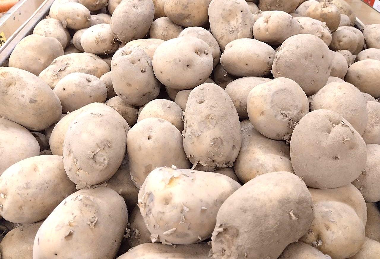 Рост импорта картофеля почти в 4 раза прогнозируют в Казахстане - изображение