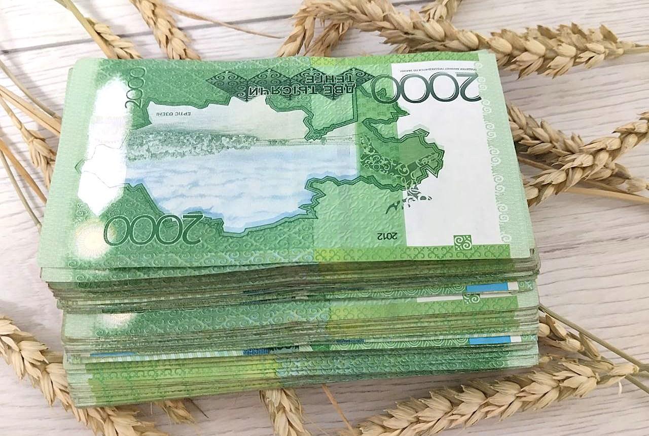 Вернуться к вопросу создания агробанка просят Правительство - изображение