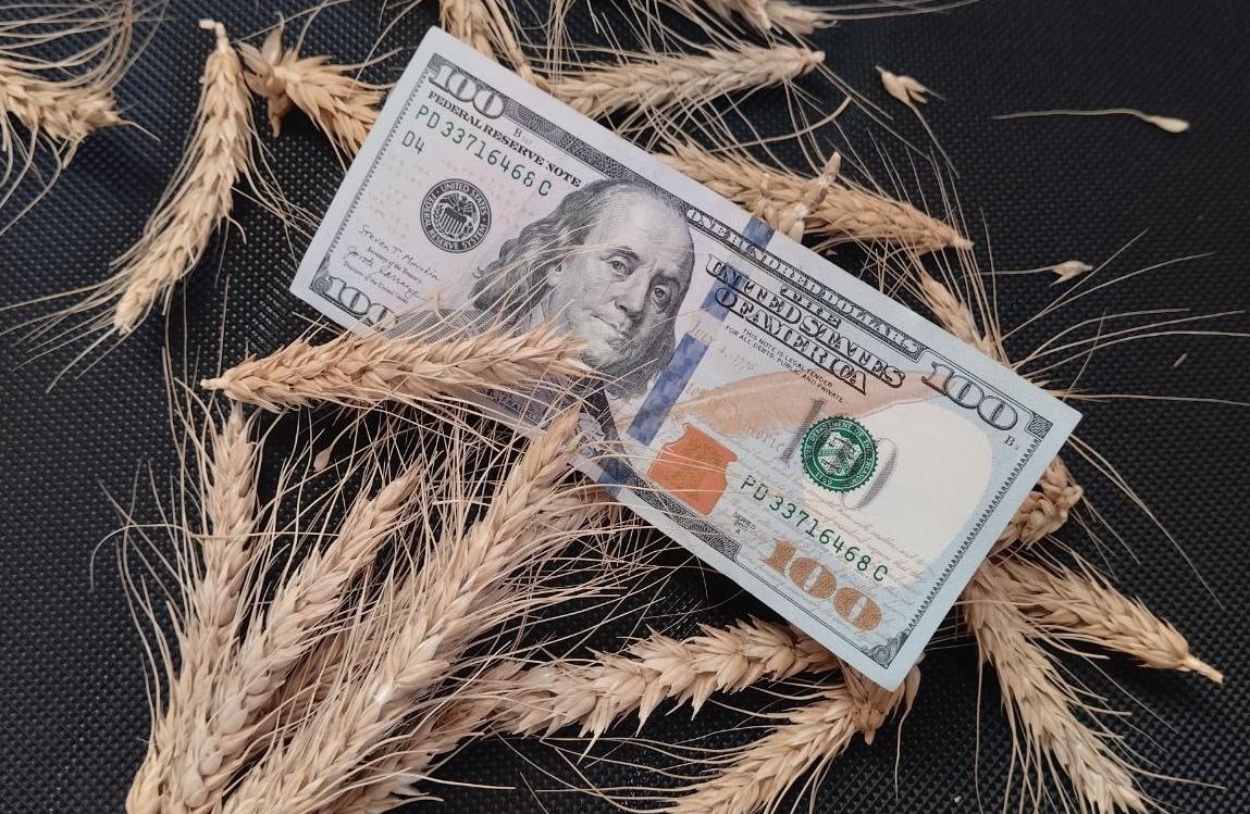 Аналитика экспорта казахстанского зерна за сентябрь 2025г - изображение