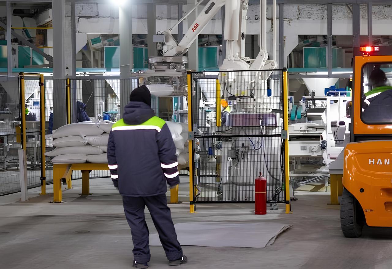 Завод по переработке зерновых и масличных стоимостью свыше 15 млрд тенге ввели на юге Казахстана - изображение