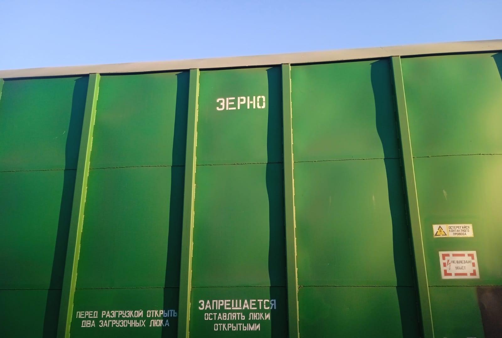 Таможенные ограничения Китая переформатировали структуру зерновых грузов из Казахстана - изображение