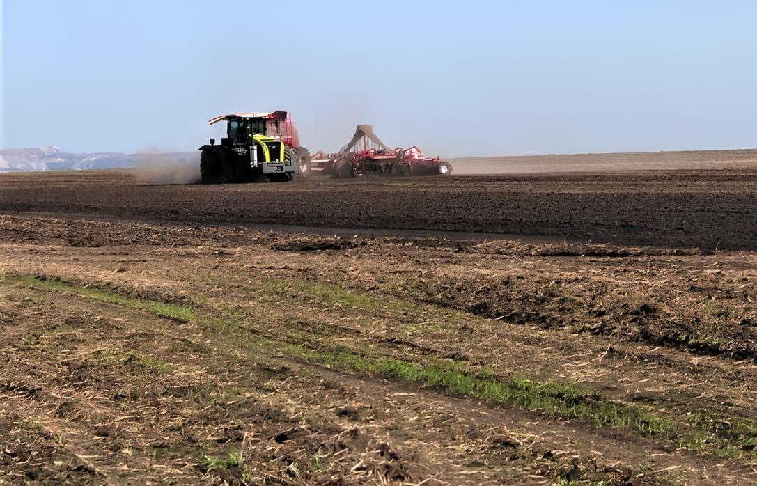 Сокращение посевных площадей пшеницы станут жестче контролировать с 2026 года - изображение