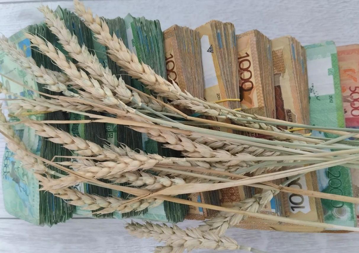 Анализ конъюнктуры цен на зерновом рынке Казахстана  - изображение