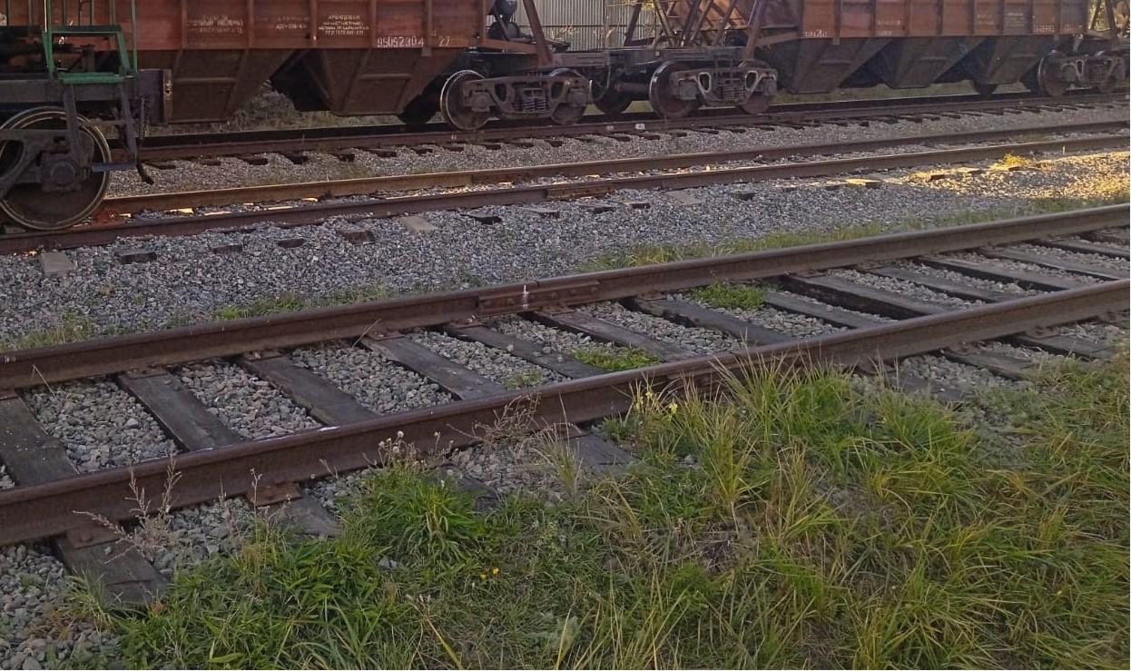 Вагоны с рапсовым маслом сошли с рельсов в Акмолинской области - изображение