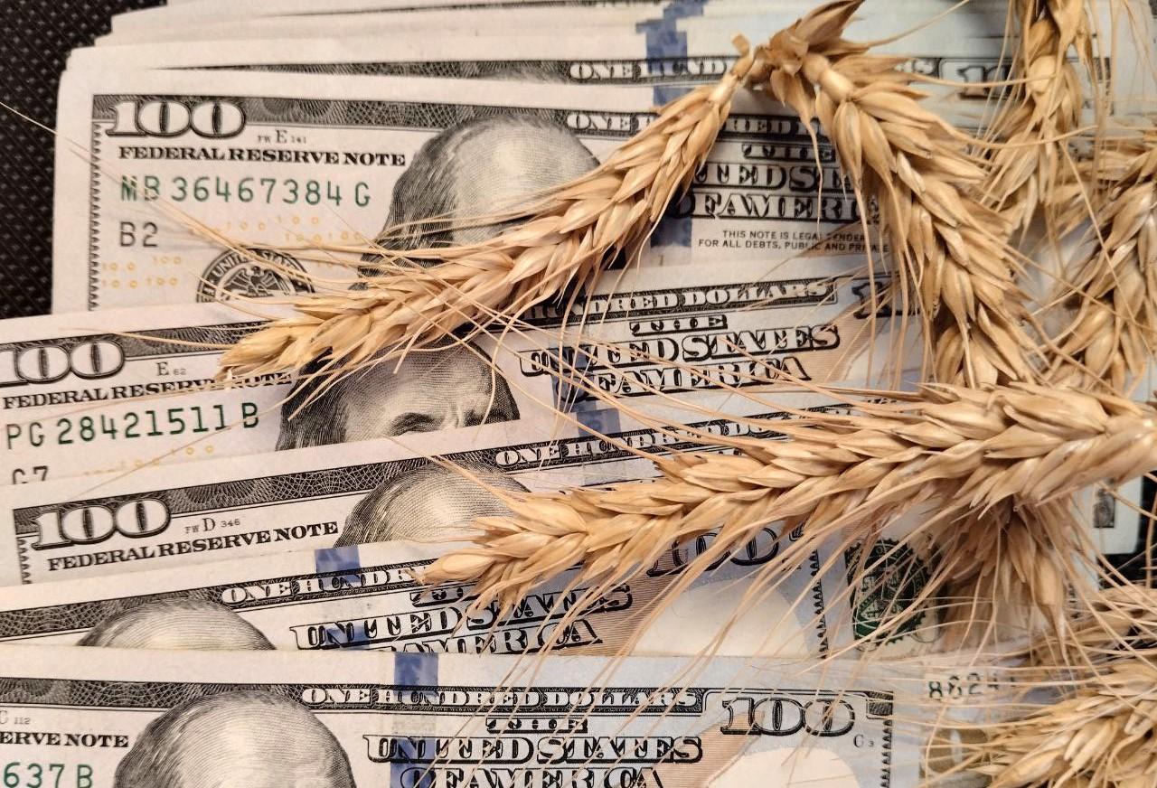 Снижение цен на зерно зафиксировано на мировых рынках - изображение