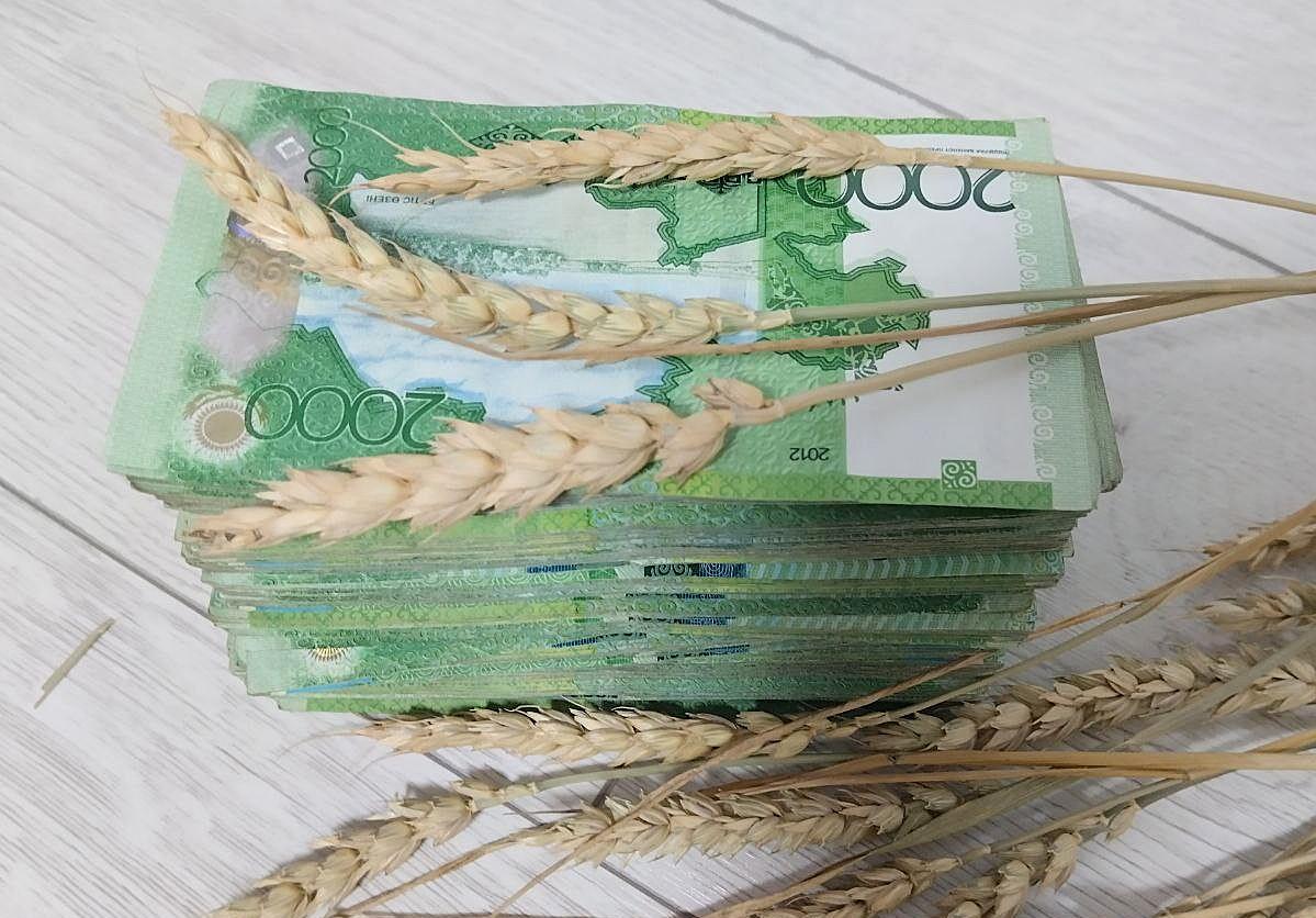 Продкорпорация запускает новый проект по финансированию аграриев - изображение