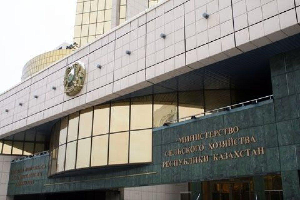 Привлечены сотрудники Минсельхоза, нарушившие ветеринарную и фитосанитарную безопасность  - изображение