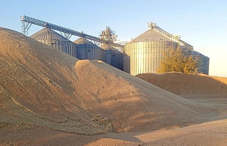 Китайская корпорация запускает проект по строительству комбикормового завода и зерносушилок на севере РК - изображение