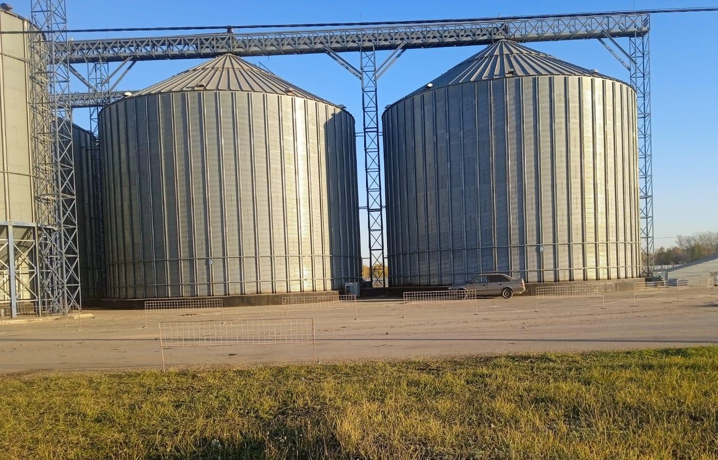 Зерновой комбикормовый комплекс стоимостью 10 млрд тенге введут на юге Казахстана - изображение