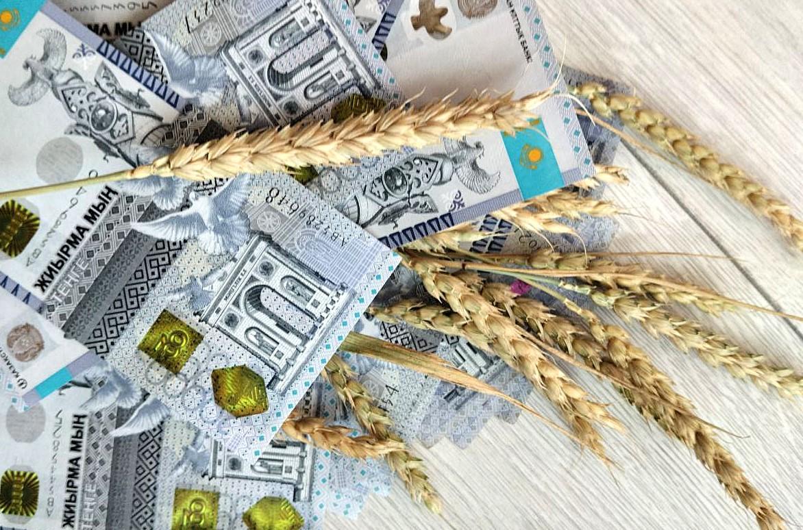 Аграрии держат зерно 3 класса в надежде на рост цен с начала 2026 года - изображение