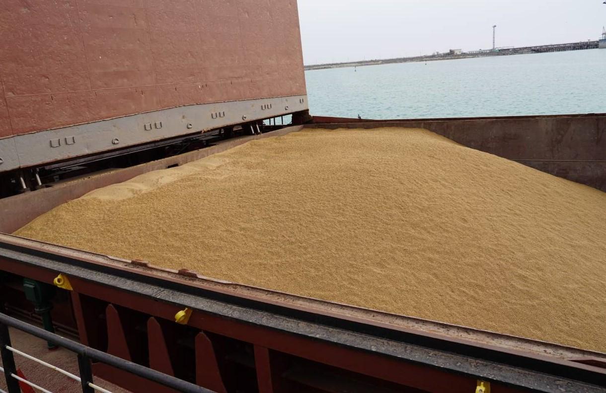 Эстония откроет транспортный коридор по спецтарифу для казахстанского зерна и масличных в Европу - изображение