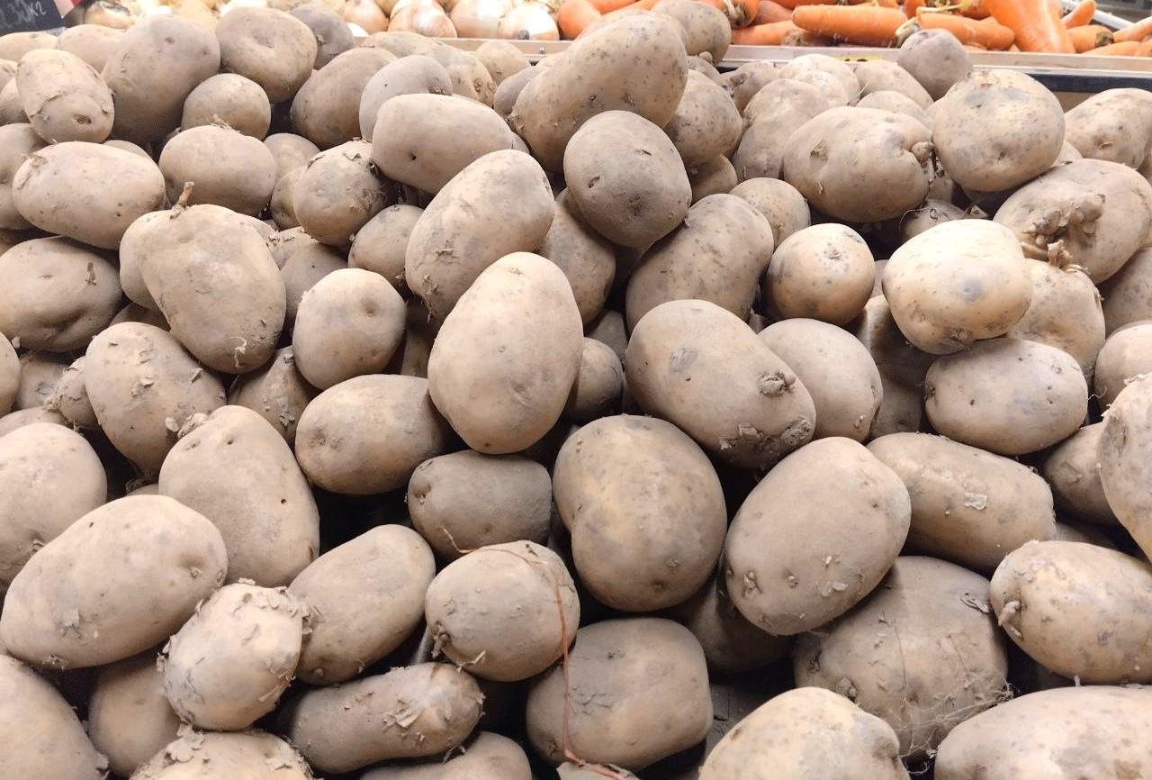 Ввести запрет на экспорт картофеля намерены в Казахстане - изображение