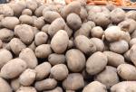 Ввести запрет на экспорт картофеля намерены в Казахстане - превью