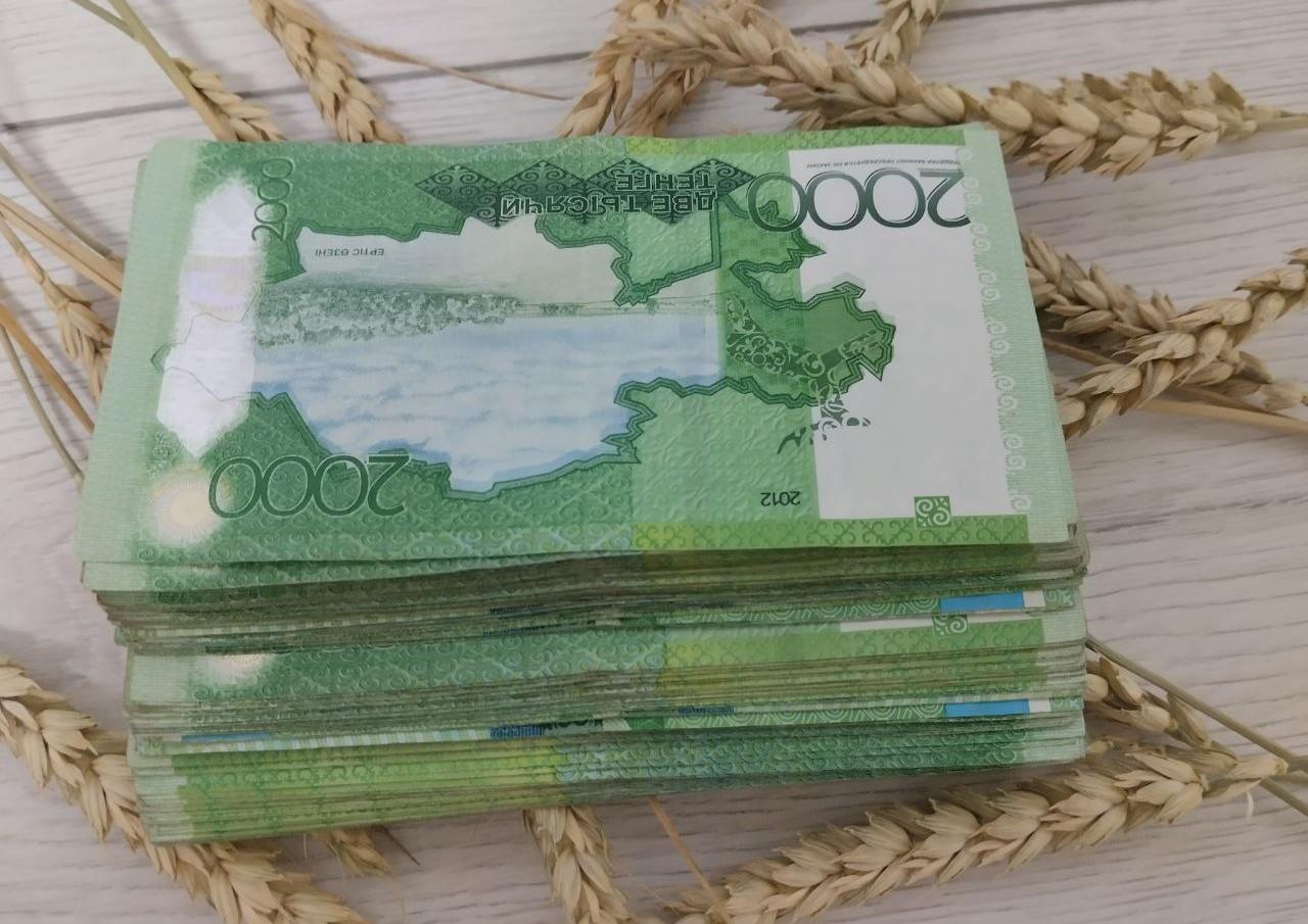 Гибкие кредиты для АПК. Банк второго уровня зашел в финансирование инвестпроектов - изображение