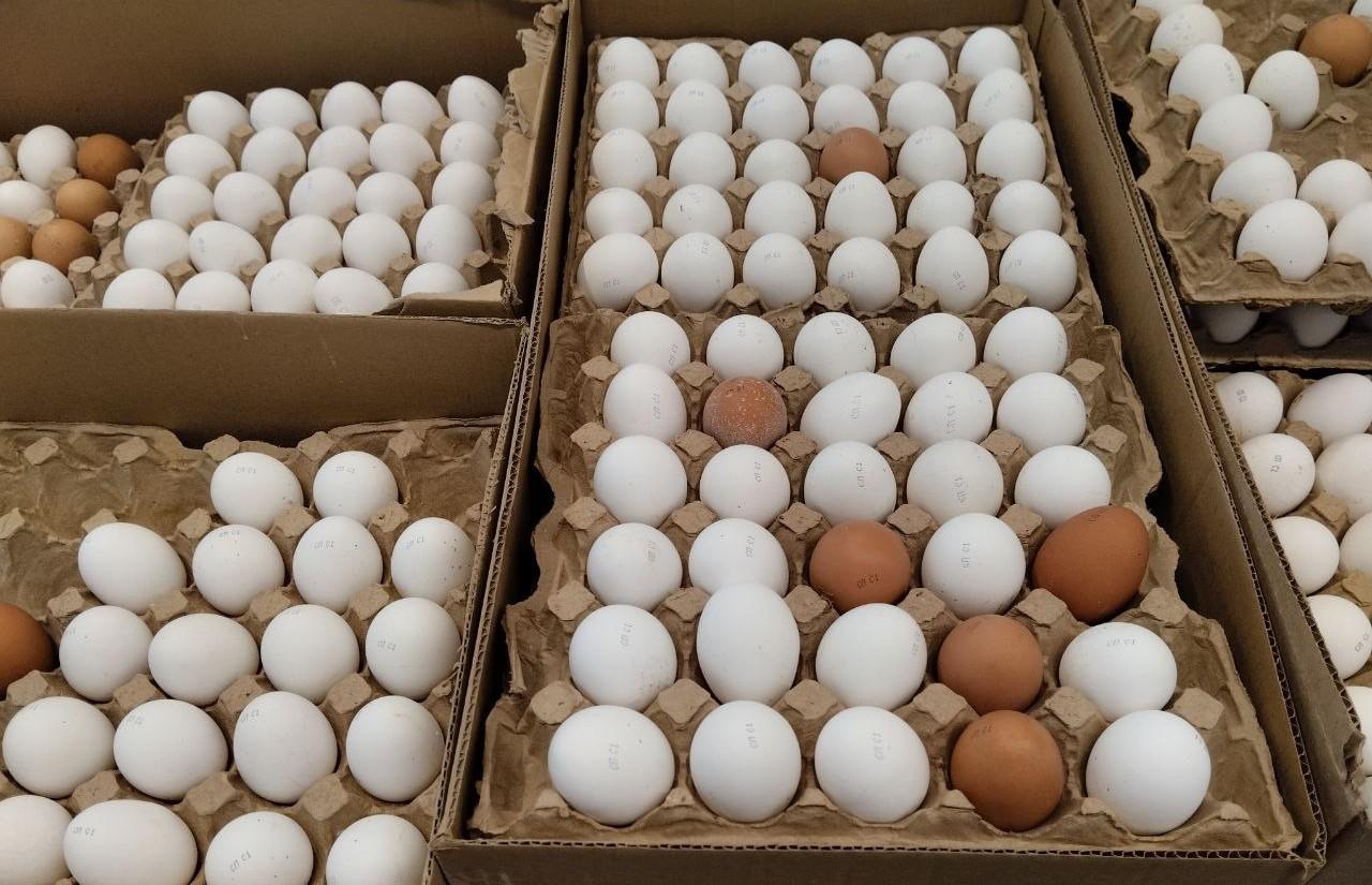 Партию куриных яиц пытались незаконно ввезти из РФ - изображение