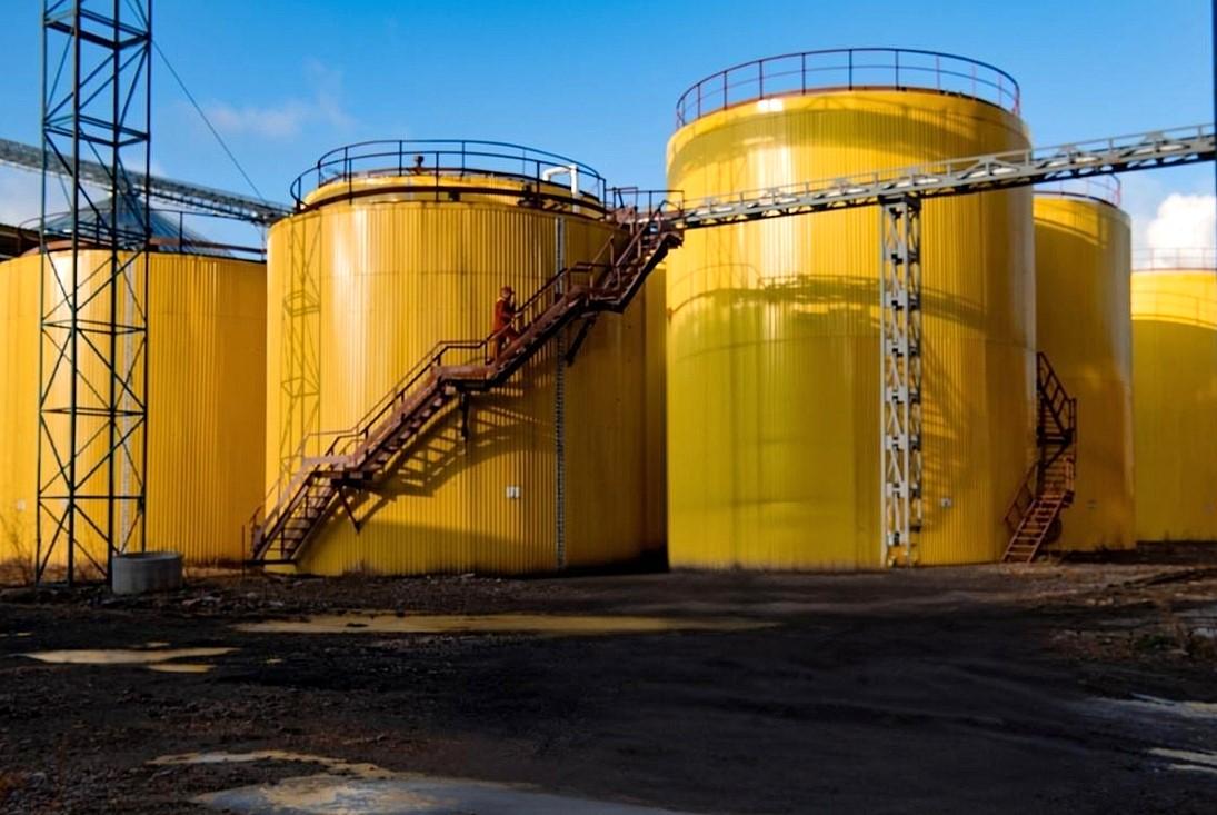 «Масло-Дел» намерен инвестировать в расширение глубокой переработки масличных - изображение