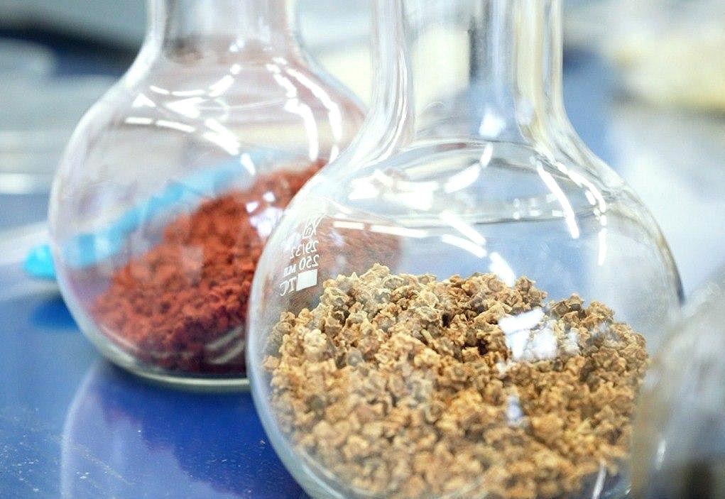 Ученые Казахстана изобрели уникальную технологию по защите семян - изображение