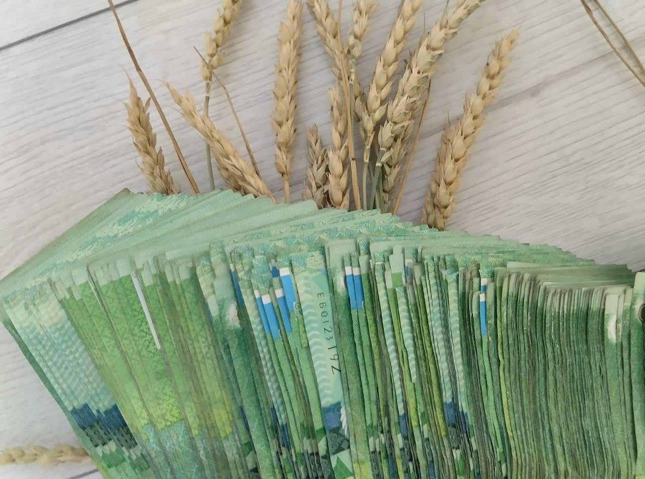 Новую масштабную госпрограмму запустили в Казахстане  - изображение