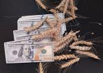 Ожидание транспортных субсидий приведет к удорожанию пшеницы 4 и 5 класса - превью