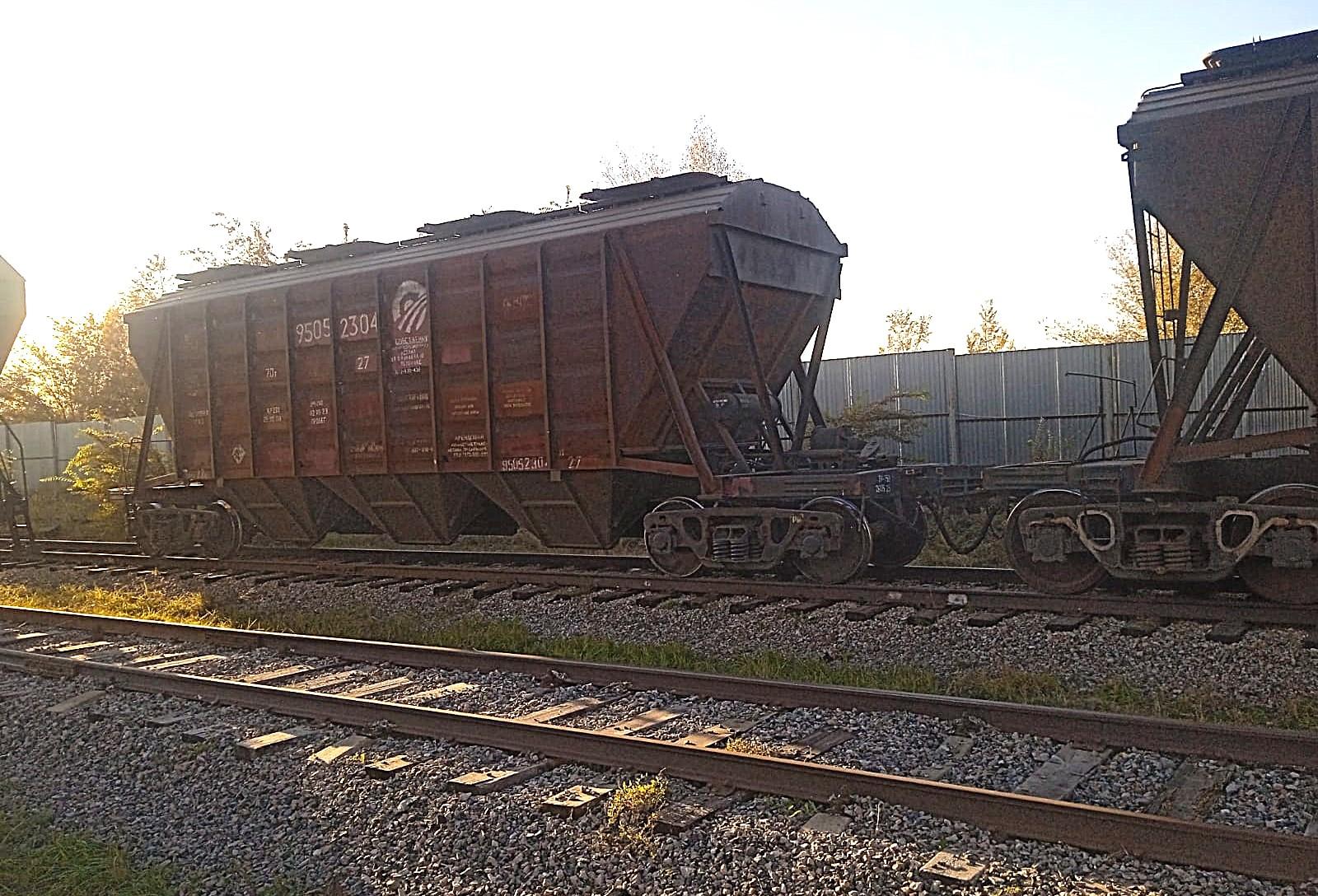 Вагоны с зерном, вышедшие в октябре в сторону Центральной Азии, до сих пор не дошли до станций назначения - изображение