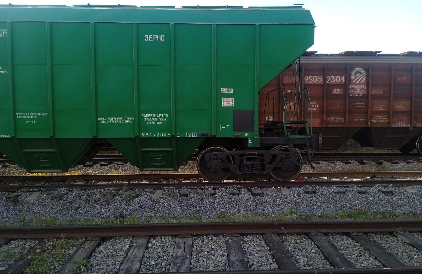 Проведение таможенной экспертизы при экспорте сафлора отменили в Казахстане  - изображение