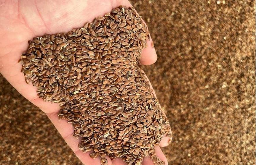 Лен показал очередное снижение цены - изображение