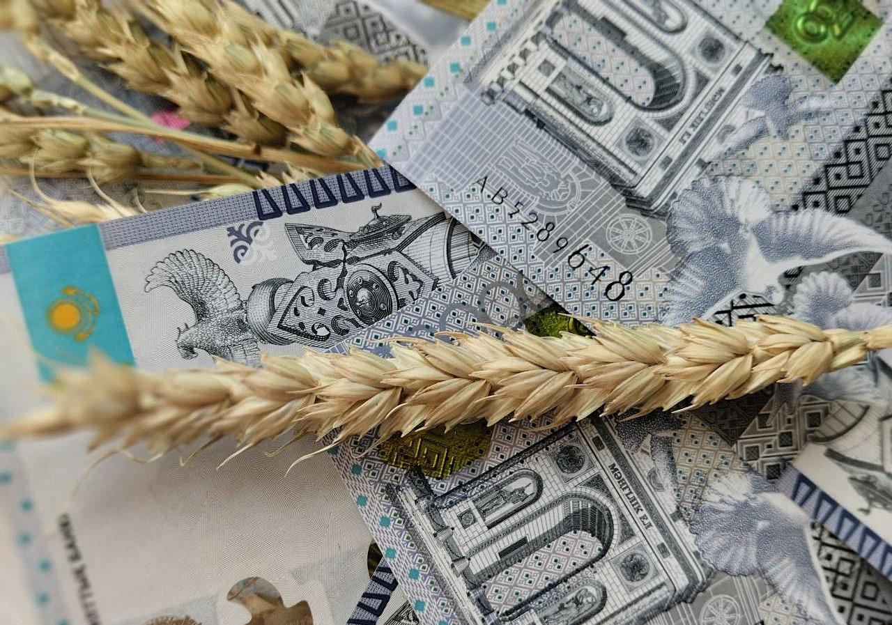 Прямой закуп зерна по рыночным ценам планирует Продкорпорация к концу декабря  - изображение
