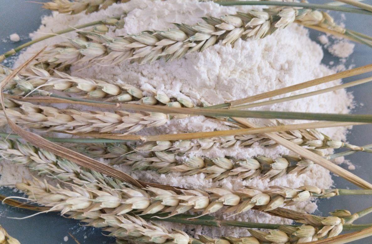 Рост экспорта кормовой муки в Китай, несмотря на логистические проблемы, констатируют в РК - изображение