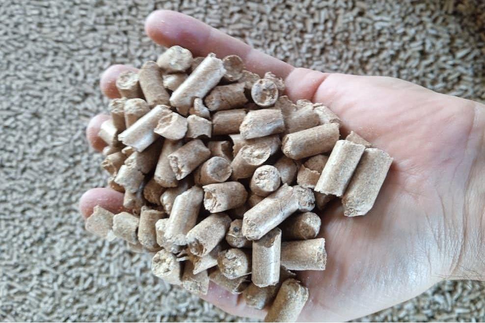 Мукомольно-комбикормовый комплекс стоимостью 3,5 млрд тенге начали строить в Костанайской области - изображение