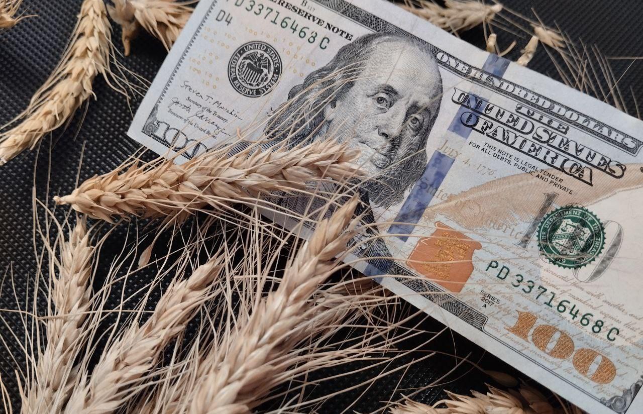 Мировые цены на пшеницу в ноябре выросли на 2,5% - изображение