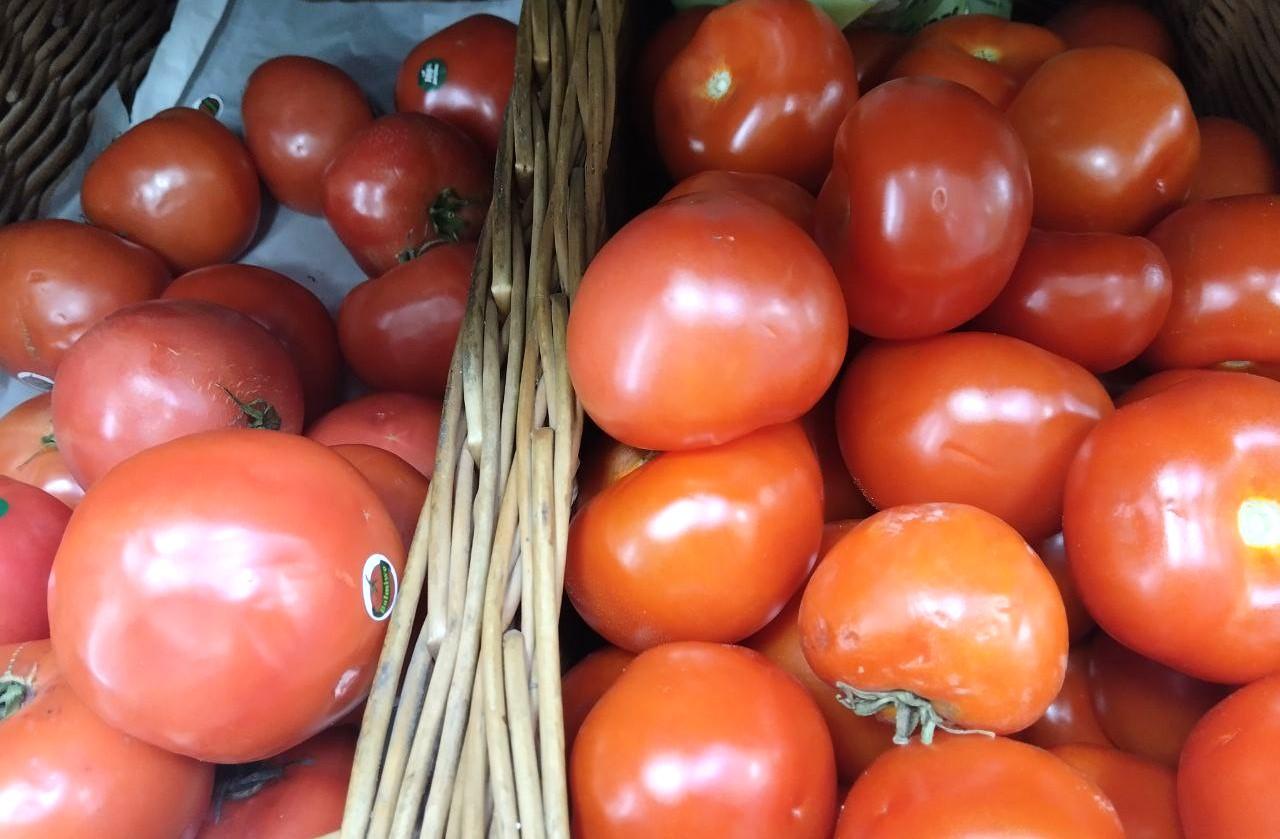 Тепличный кластер за 42 млрд тенге ввели совместно Казахстан и Россия на юге РК - изображение