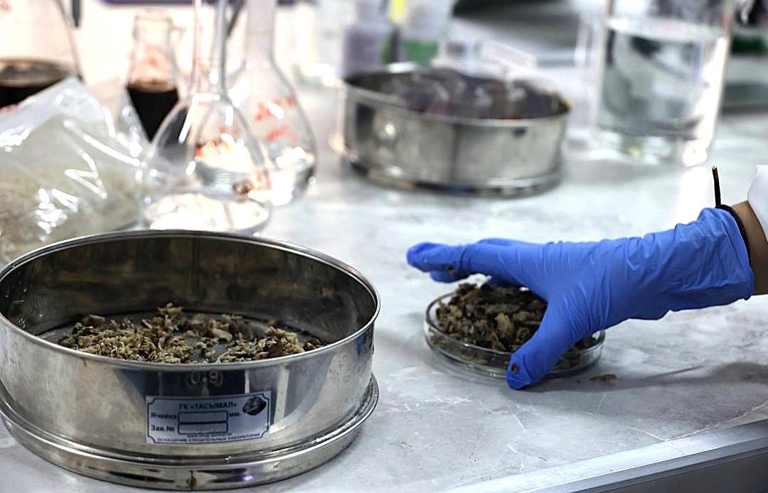 Ученые Казахстана создали способ превращения свекольных отходов в премиум-материалы - изображение