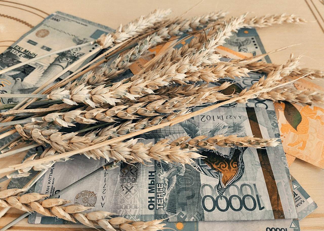 Аграриям упразднят ставку единого налогового режима - изображение