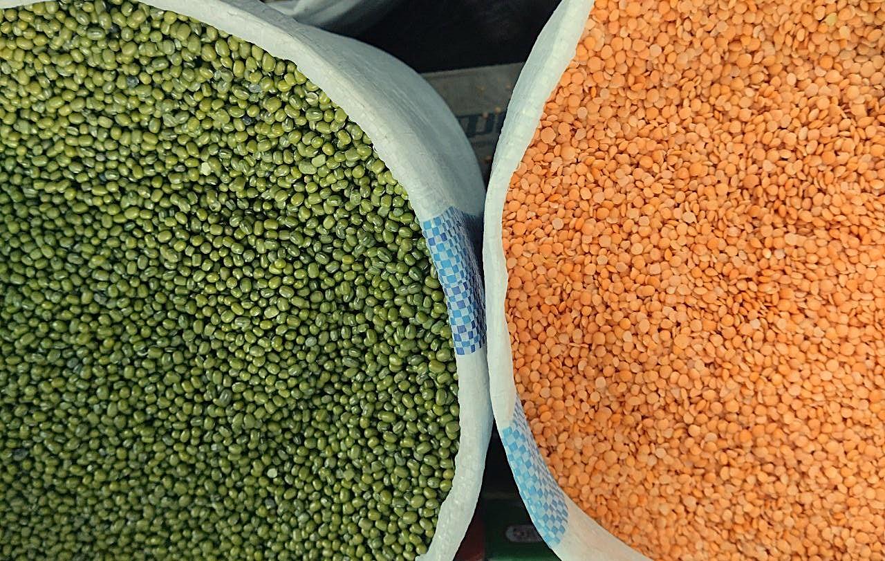 Продкорпорация начнет финансировать производство чечевицы на севере Казахстана - изображение