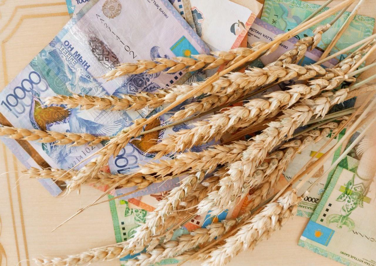 Продкорпорация начала прямой закуп зерна и масличных у фермеров - изображение