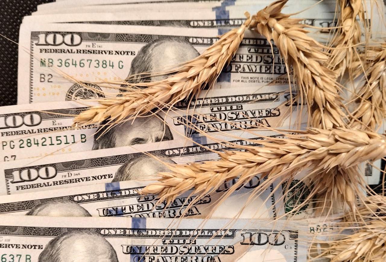 Экспорт зерна и муки активизировался в Казахстане. Цены растут  - изображение