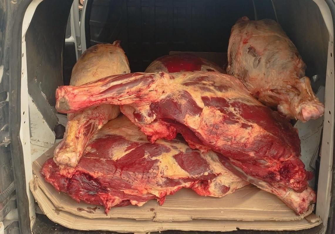 Речь о закрытии экспорта говядины не идет. Продление квот прокомментировало Правительство  - изображение