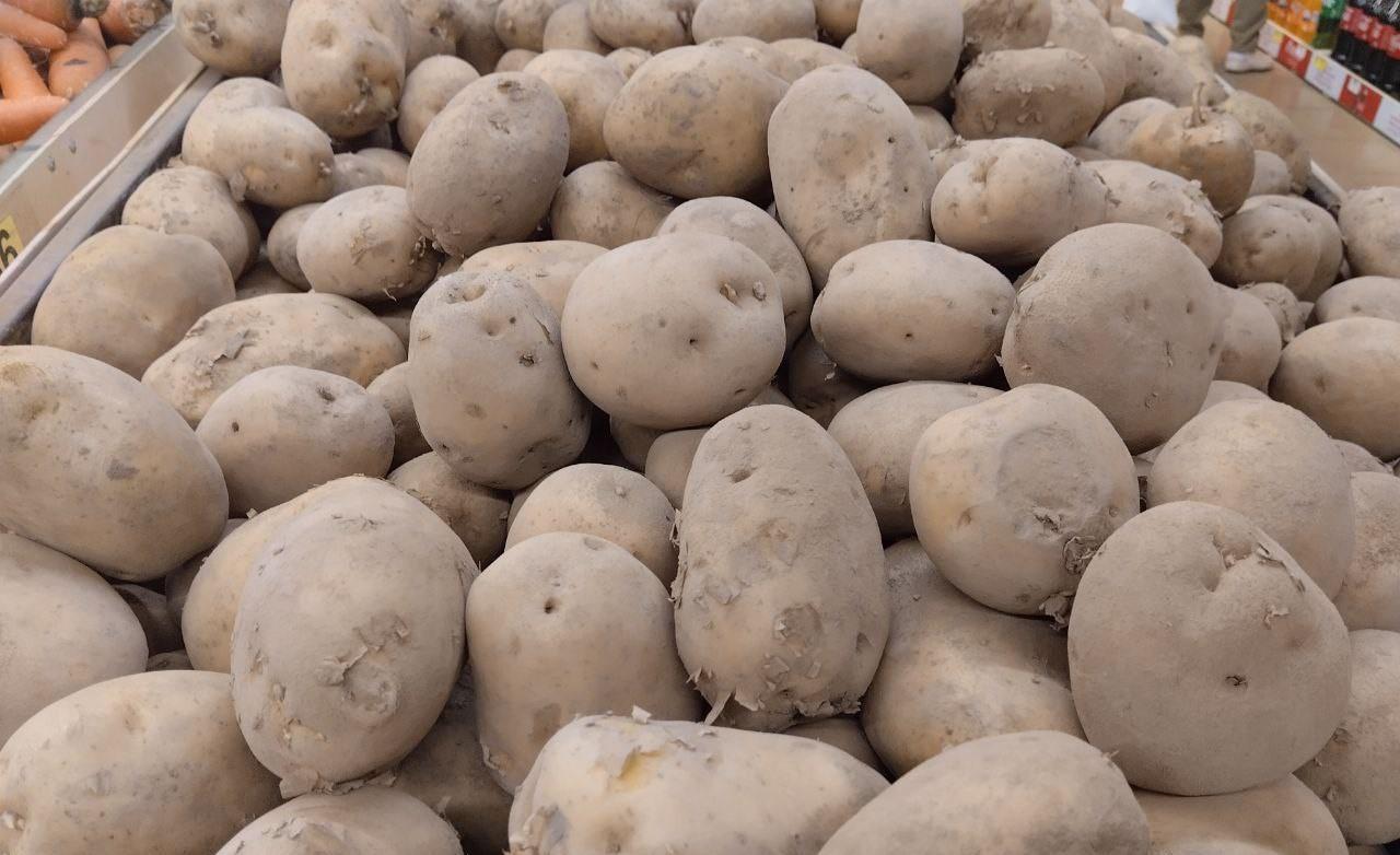 Основные импортеры картофеля из Узбекистана могут прекратить работать с Казахстаном - депутаты - изображение