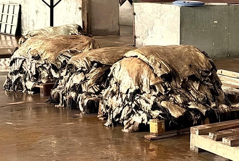 Новый завод по переработке шкур построят в Казахстане - изображение