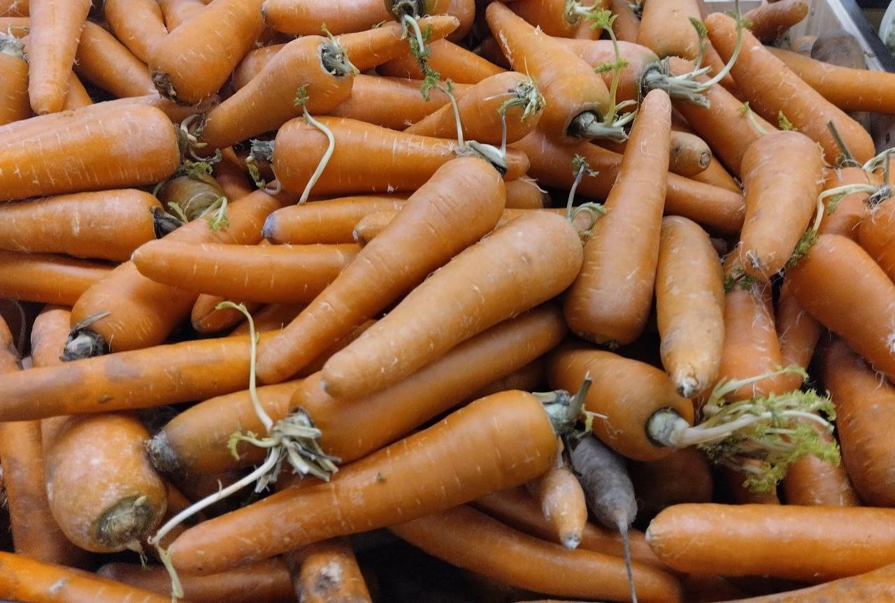 Казахстан вводит запрет на вывоз моркови - изображение