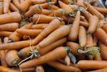 Казахстан вводит запрет на вывоз моркови - превью