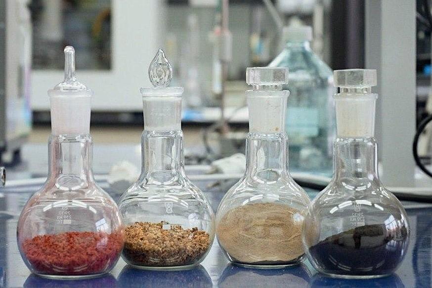 Производство органических семян наладили ученые НИИ земледелия и растениеводства - изображение