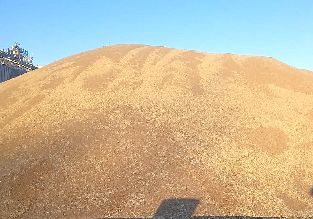 Зерновой национальный оператор подвел итоги сезона - изображение