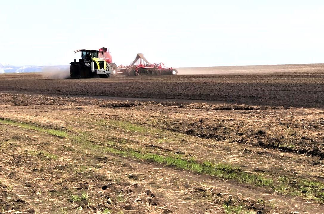 Принудительного изъятия земельных участков опасаются аграрии в Казахстане - изображение