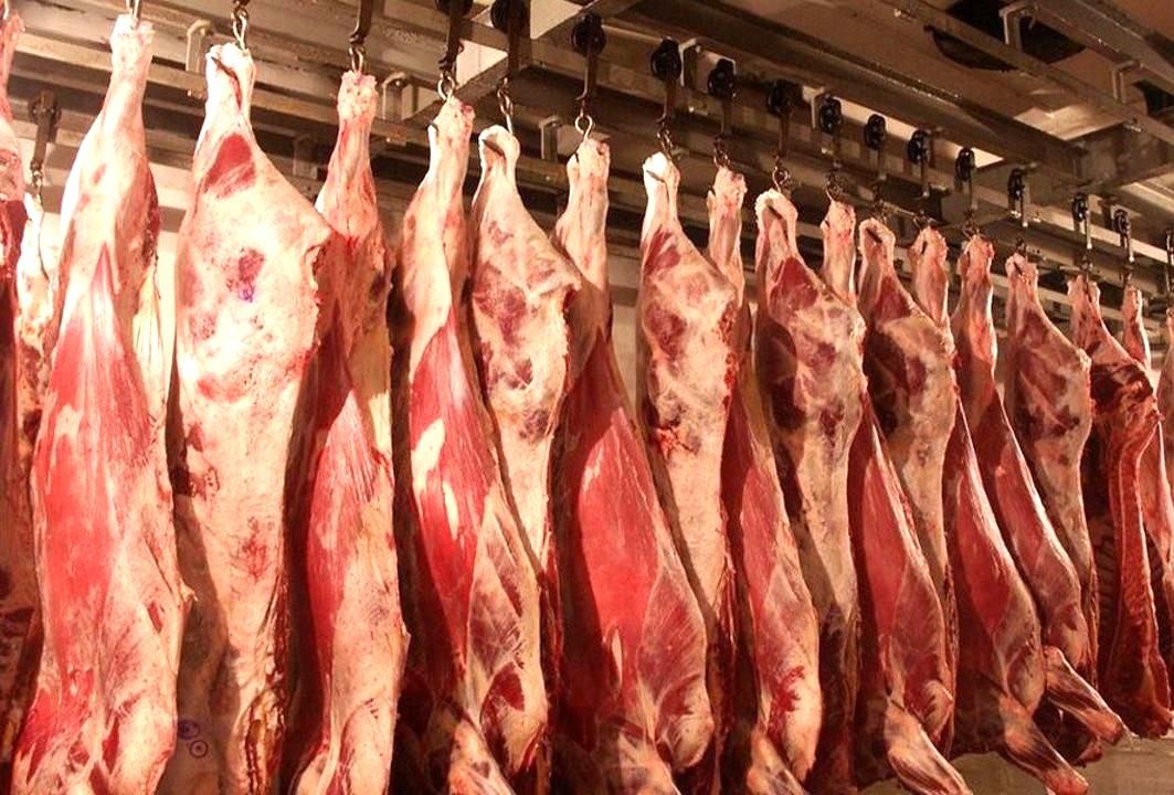С 31 декабря Казахстан ввел квоты на экспорт говядины - изображение